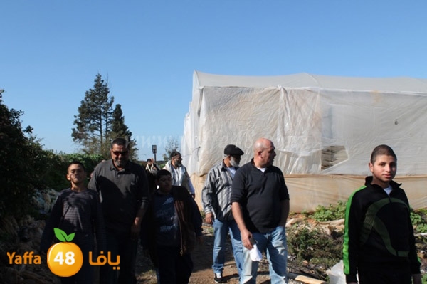 re7la tolkarem (43).JPG